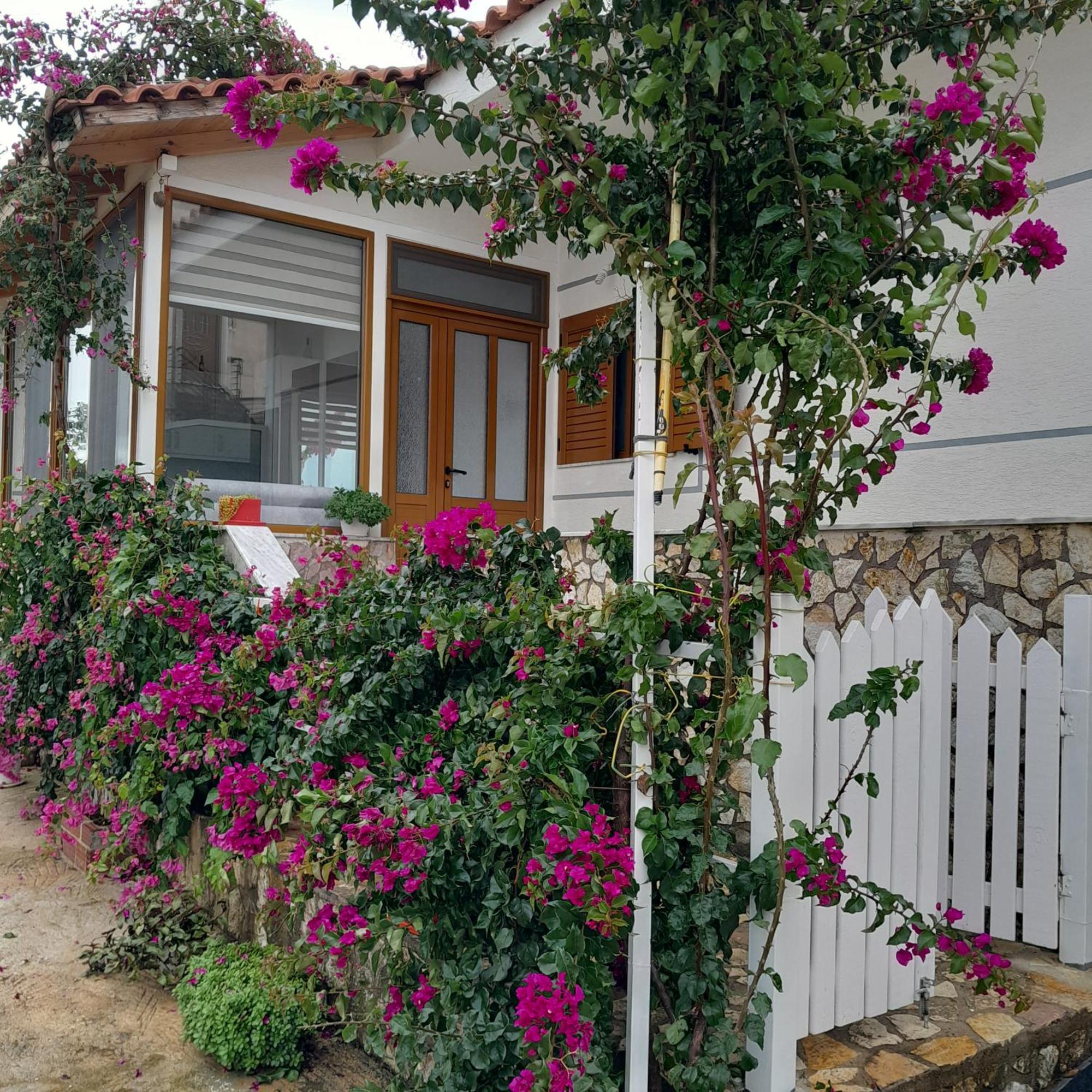 Luxury Dennis Casa de Férias